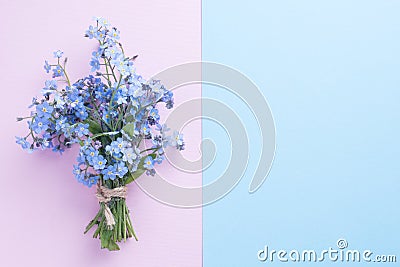 Forget me not flowers bouquet on blue and pink pastel background Stock Photo