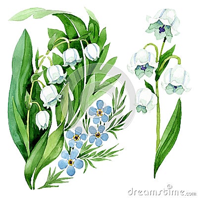 Forget me not and lily of the valley floral botanical flowers. Watercolor background illustration set. Cartoon Illustration