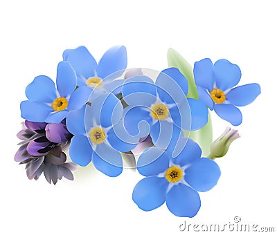 Forget-me-not. Myosotis. Vector Illustration