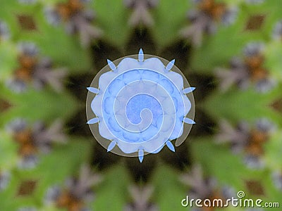 Forget Me Not Plant, Digital Artwork Pattern Stock Photo