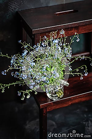 Forget-me-not`s bouquet in small glass jar on wooden stool, dark background Stock Photo