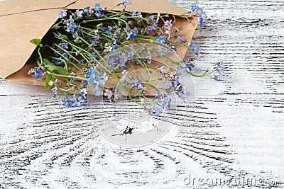 Forget-me-nots in the envelope Stock Photo