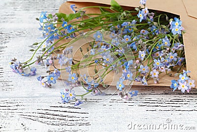 Forget-me-nots in the envelope Stock Photo