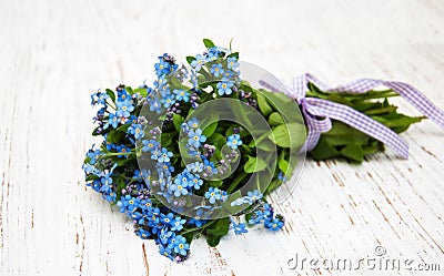 Forget-me-nots flowers Stock Photo
