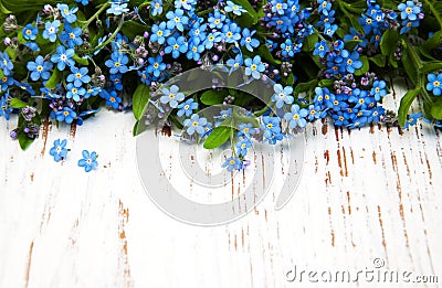 Forget-me-nots flowers Stock Photo