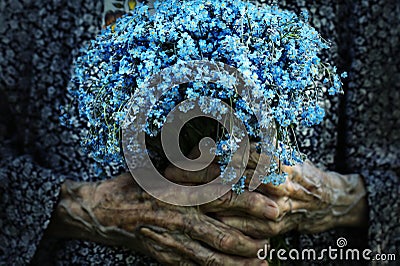 Forget Me Nots Stock Photo