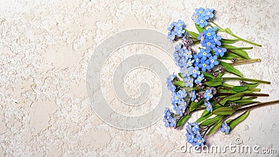 Forget me nots Stock Photo