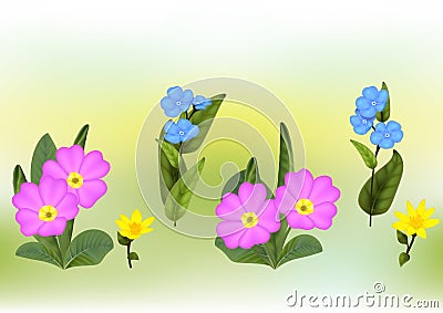 Forget-me-nots Primula, Kingâ€™s Cup flowering plants Stock Photo