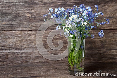 Forgetmenot flowers on a wooden background Stock Photo