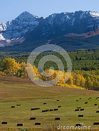 Forgotten Farm Stock Photo