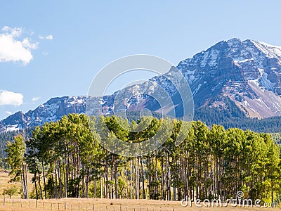 Forgotten Farm Stock Photo