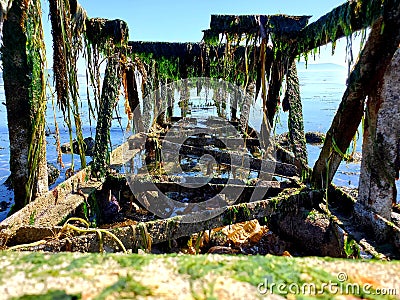 Forgotten at sea in Bellingham wa Stock Photo