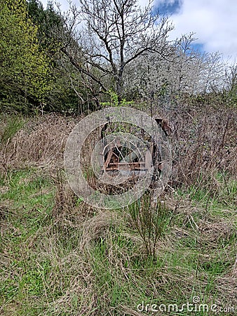 Forgotten truck 2 Stock Photo