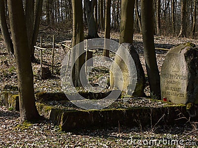 Forgotten, very old graves in the forest. Stock Photo