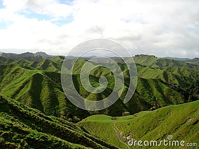 Forgotten World, New Zealand Stock Photo