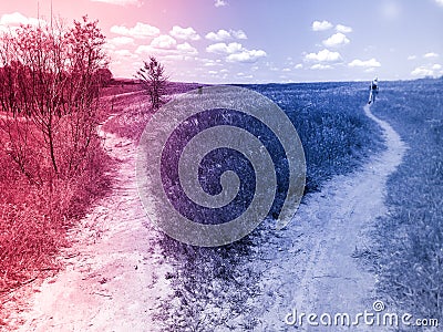 Fork of a path in a two-color field. Two roads to the right and left to choose Stock Photo