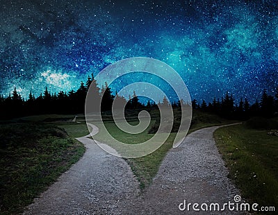 Fork in the road at night lost in the forest Stock Photo