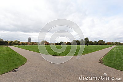 Fork road in the park Stock Photo