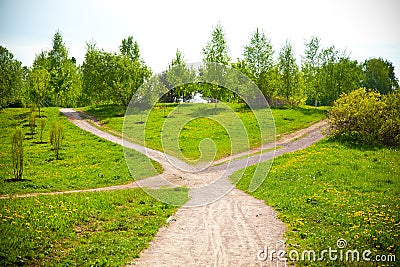 Fork in the road in the park and dandelions Stock Photo