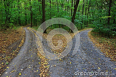 Fork roads Stock Photo