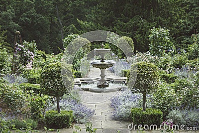 Formal English Garden with Fountain and Lavender Beds. Stock Photo