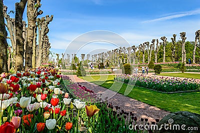 Formal Flower Garden Editorial Stock Photo