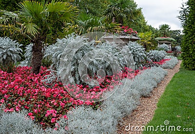 Formal flower garden in Regent`s Park, London UK. The flower beds are planted for autumn and winter. Stock Photo