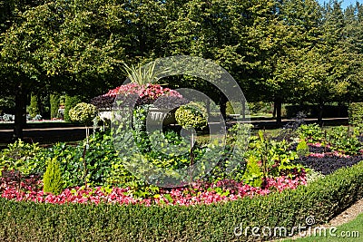 Formal flower gardens in Regent`s Park in central London UK. The flower beds are planted for autumn and winter. Stock Photo