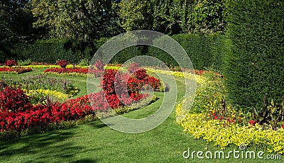 Formal flower gardens with red and yellow flowers in Regent`s Park in central London UK. The flower beds are planted for autumn. Stock Photo