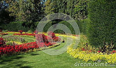 Formal flower gardens with red and yellow flowers in Regent`s Park in central London UK. The flower beds are planted for autumn. Stock Photo