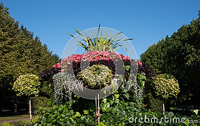 Formal flower gardens in Regent`s Park in central London UK. The flower beds are planted for autumn and winter. Stock Photo