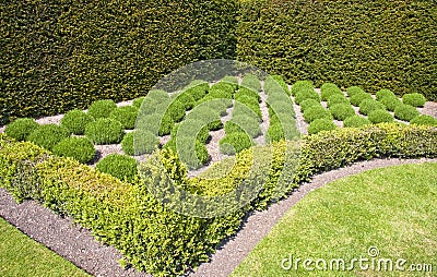 Formal lavender herb garden Stock Photo