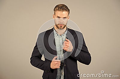 Formal menswear concept. Man bearded strict face wears formal clothes, grey background. Man with beard unshaven guy Stock Photo