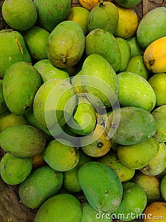 Formalin free tree mango Stock Photo