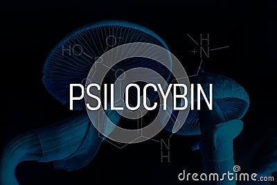 Formula of psilocybin on a blackboard Mushroom. Albino A strain. Dry Psilocybe cubensis. Psilocybin mushroom Stock Photo