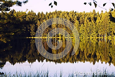 Forrest lake with reflection Stock Photo