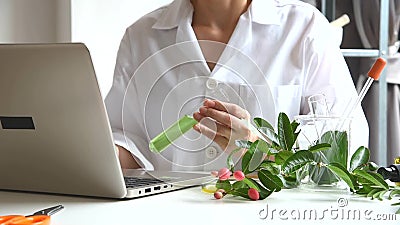 Forskare med naturlig drogforskning Naturlig datapost för ekologisk utvinning med hjälp av bärbar dator. stock video Forskare med naturlig drogforskning Naturlig datapost för ekologisk utvinning med hjälp av bärbar dator. stock video