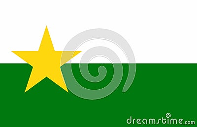 Forsyth County North Carolina Flag Vector Illustration