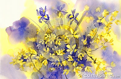 Forsythia and Iris flowers watercolor background Cartoon Illustration