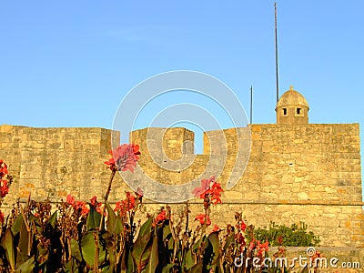 Fort of Sao Joao Baptista da Foz Stock Photo