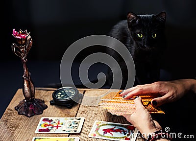 A fortune teller with a black cat lays out the tarot cards. Selective focus Stock Photo