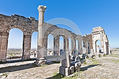 Forum at Volubilis, Morocco Stock Photo