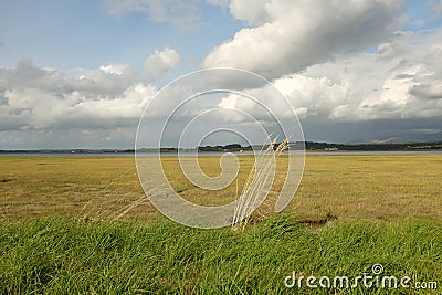 Foryd bay. Stock Photo