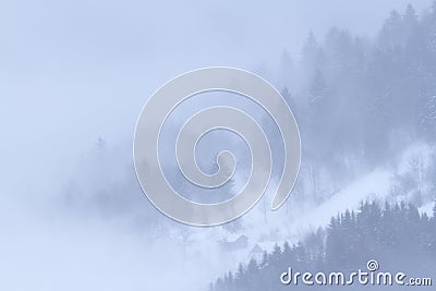 ForÃªt dans le brouillard - Hautes-vosges Stock Photo