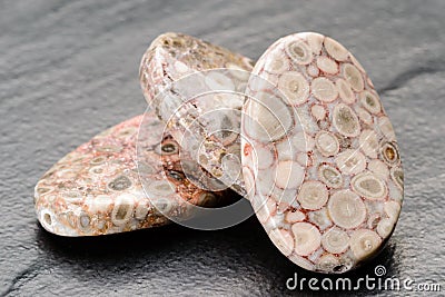 Fossil jasper beads Stock Photo