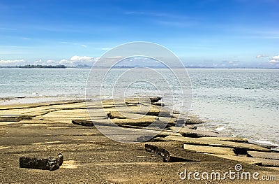 Fossil shell beach cemetery, The shell graveyard in Krabi Stock Photo