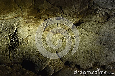 Fossils, Arwah Cave known for its limestone formations and fossils of fish bones, shells, Cherrapunjee Stock Photo