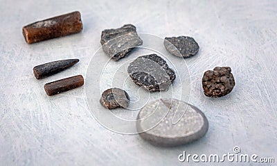 Fossils found on the beaches of the jurrassic coast in south england Stock Photo