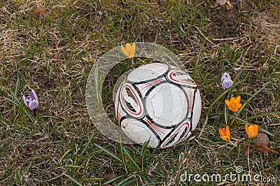 Fotball in the grass Stock Photo