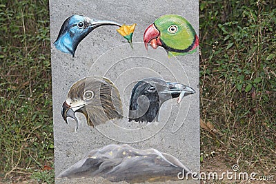 Found this board in a sanctuary in india. Details of fre birds beaks with their prey in their mouth Stock Photo